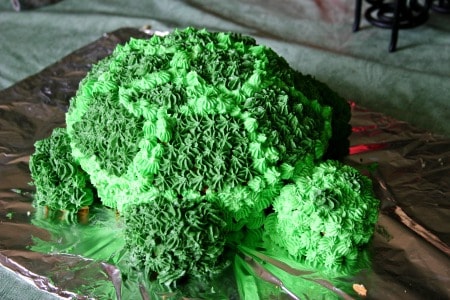 Turtle-Cake