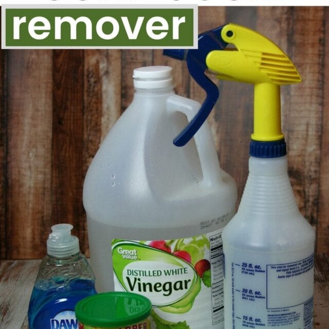 17 Uses for Vinegar in Cleaning Centsable Momma