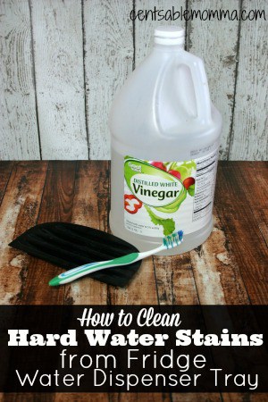 Easily clean your refrigerator water dispenser tray with just 1 ingredient and no scrubbing!