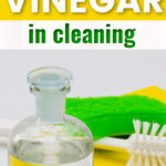 vinegar in a bottle with sponge and brush