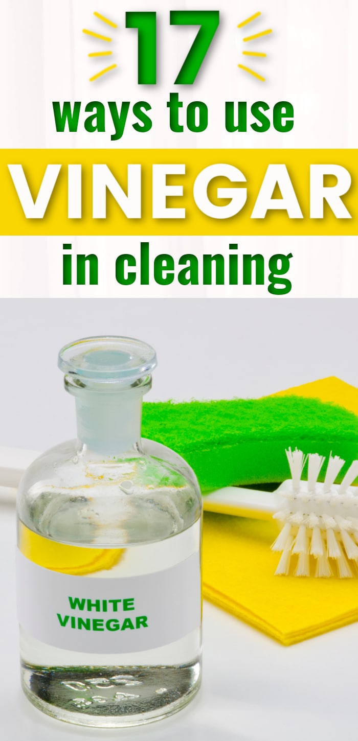vinegar in a bottle with sponge and brush
