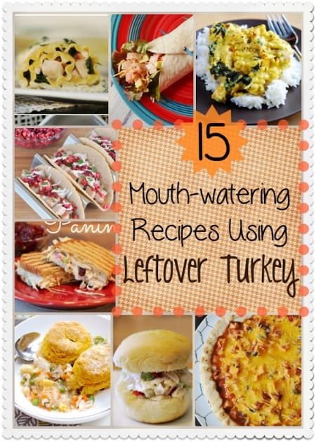 If you have lots of leftover turkey after the Thanksgiving or Christmas holiday, you can use it to make one of these 15 easy and Mouth-Watering Leftover Turkey Recipes using turkey breast or dark meat.
