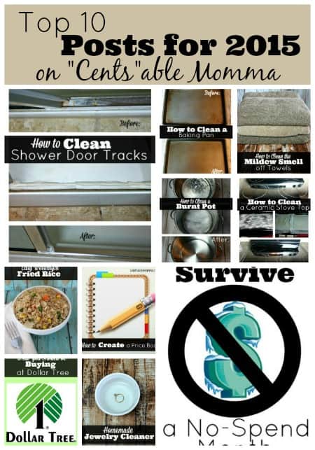 Need some inspiration for cleaning in the New Year or some tips to help your budget? Check out the Top 10 posts on 
