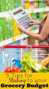 5 Tips for Sticking to Your Grocery Budget - Centsable Momma