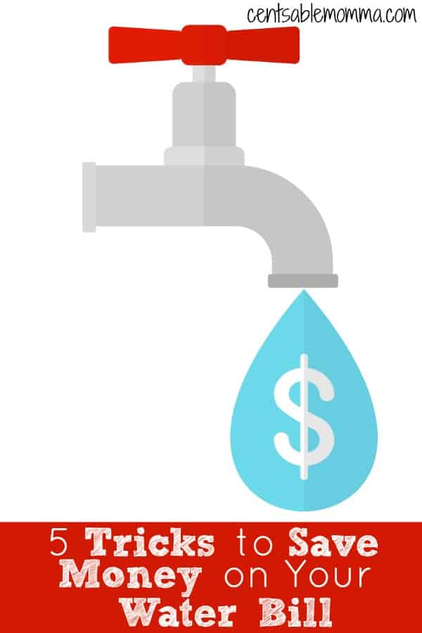 In Texas, our water bill is expensive (compared with Michigan).  Check out these 5 tricks to save money on your water bill so you have extra money to spend on things that really matter to you.