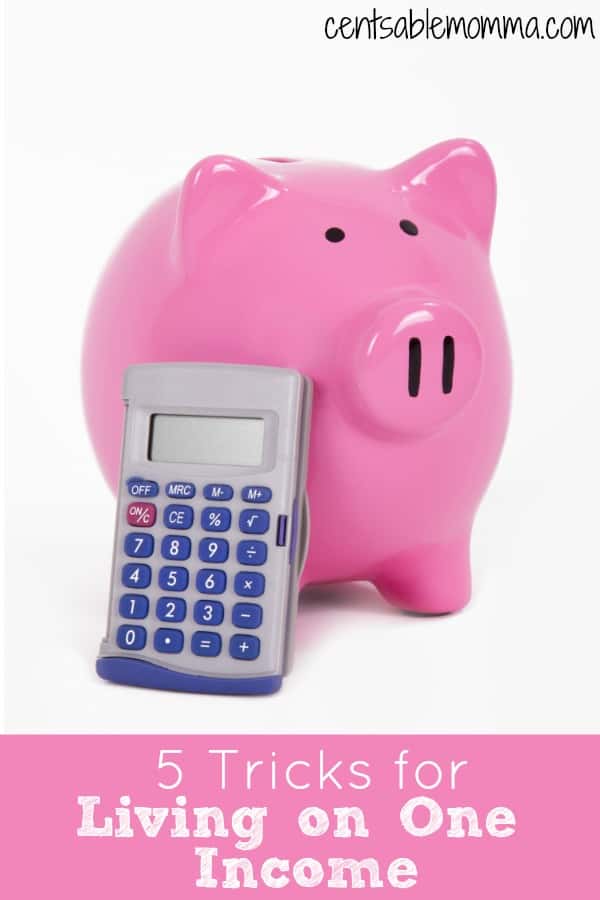 If you either are living on one income out of choice or necessity, check out these 5 tricks for living and surviving on one income and creating a family budget that works for you.