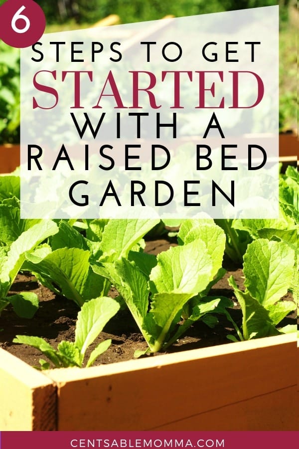 You want to start gardening in your backyard to grow vegetables, but you would rather have a raised bed garden. Check out these 6 steps to get started with a raised bed garden for some ideas and tips for making the best garden.