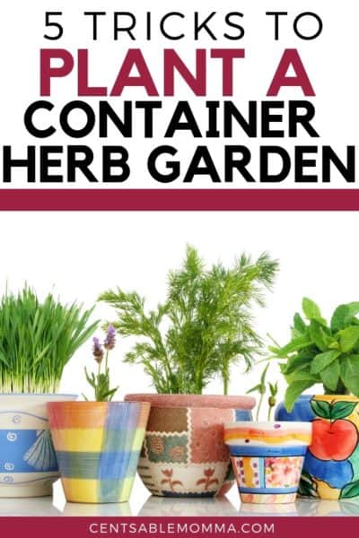 How to Plant a Container Herb Garden - Centsable Momma