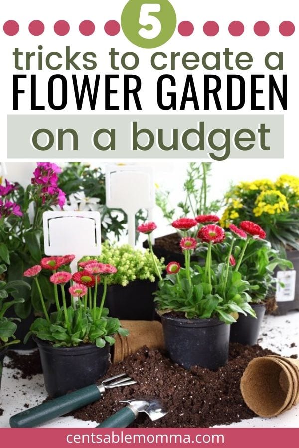 How to Create a Flower Garden on a Budget Centsable Momma